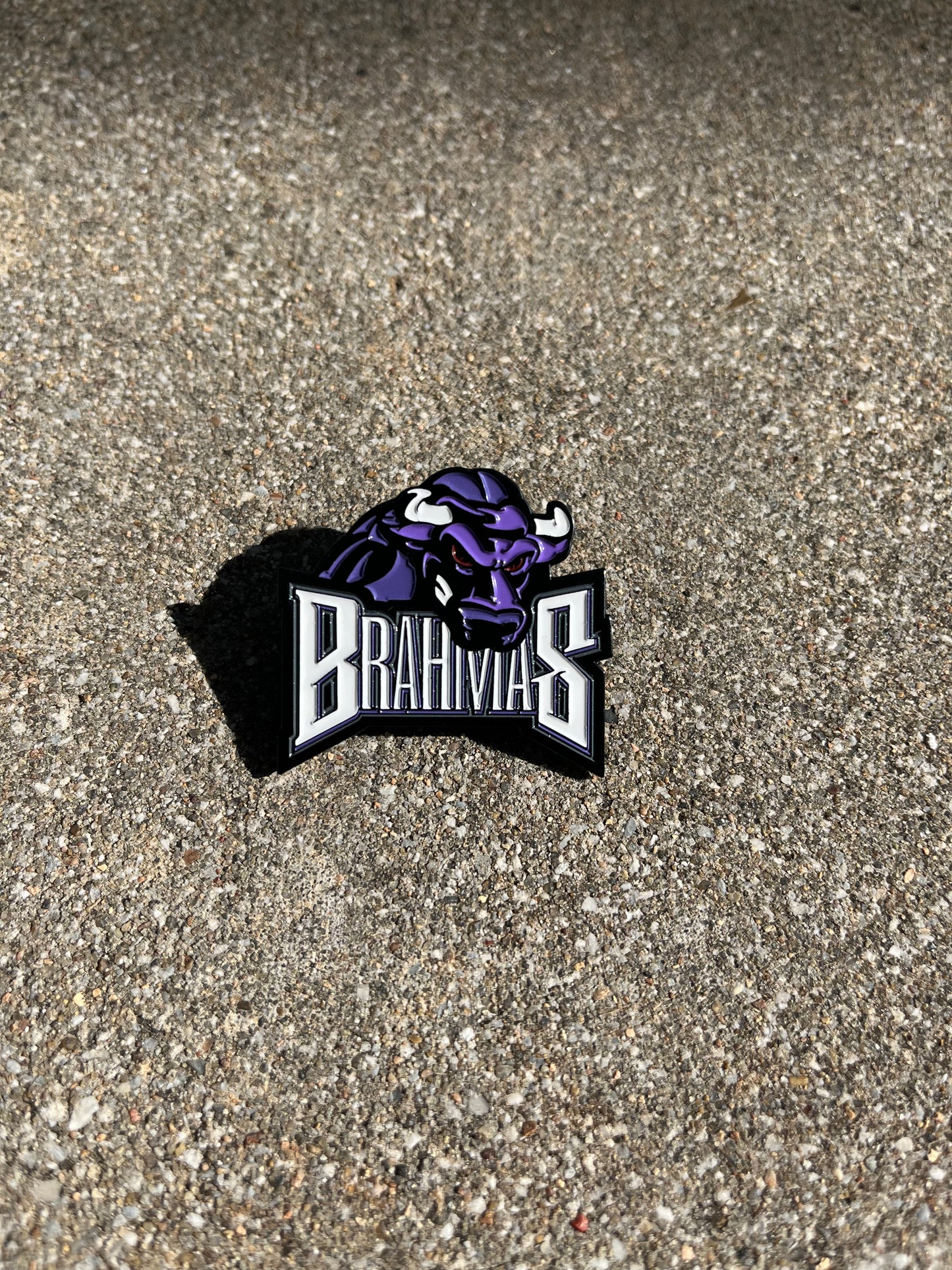 Brahmas Bull Pin