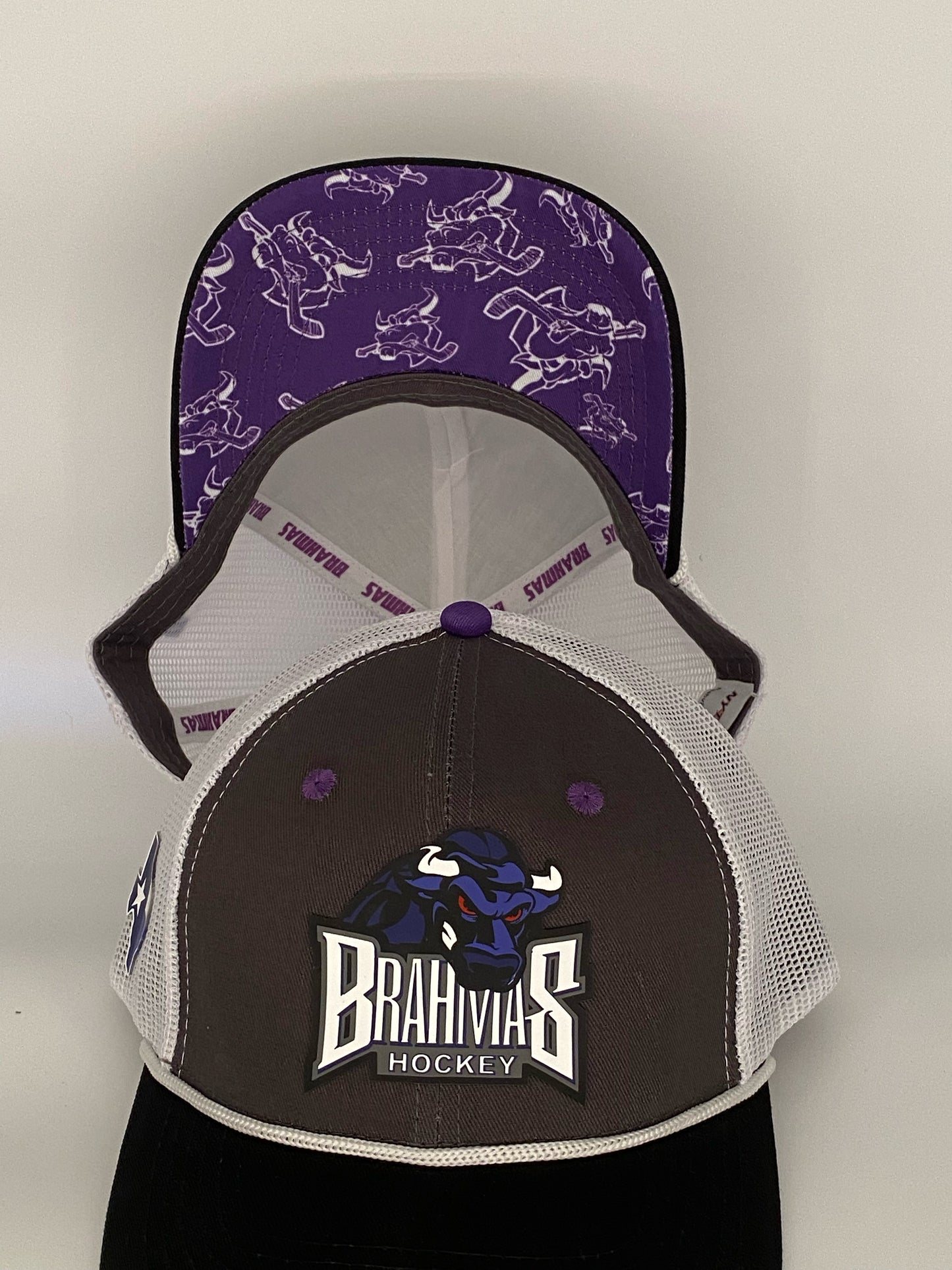 Brahmas mesh Snapback Hat