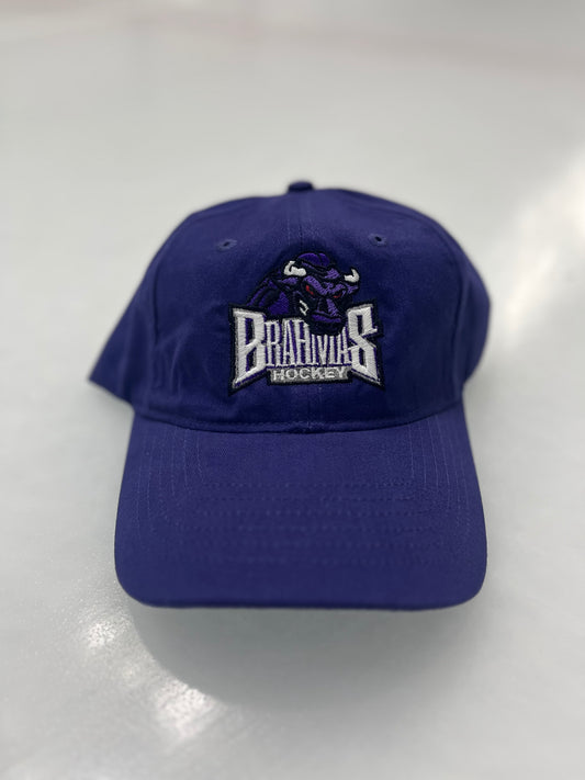 Solid Purple Hat EW
